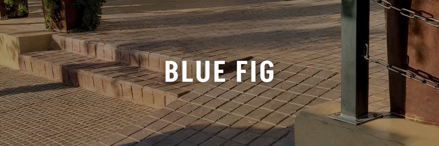 Blue-Fig-Wheelchair-friendly-places-amman
