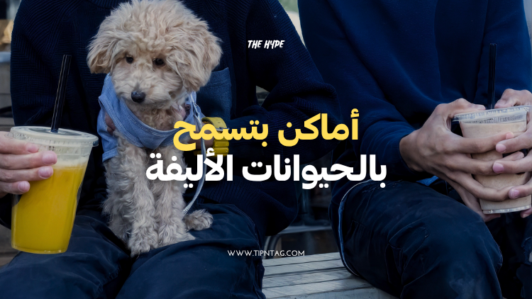 أماكن-بتسمح-بالحيوانات-الأليفة-عمان