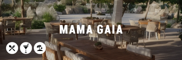 Mama-Gaia-The-Ultimate-Aqaba-Guide