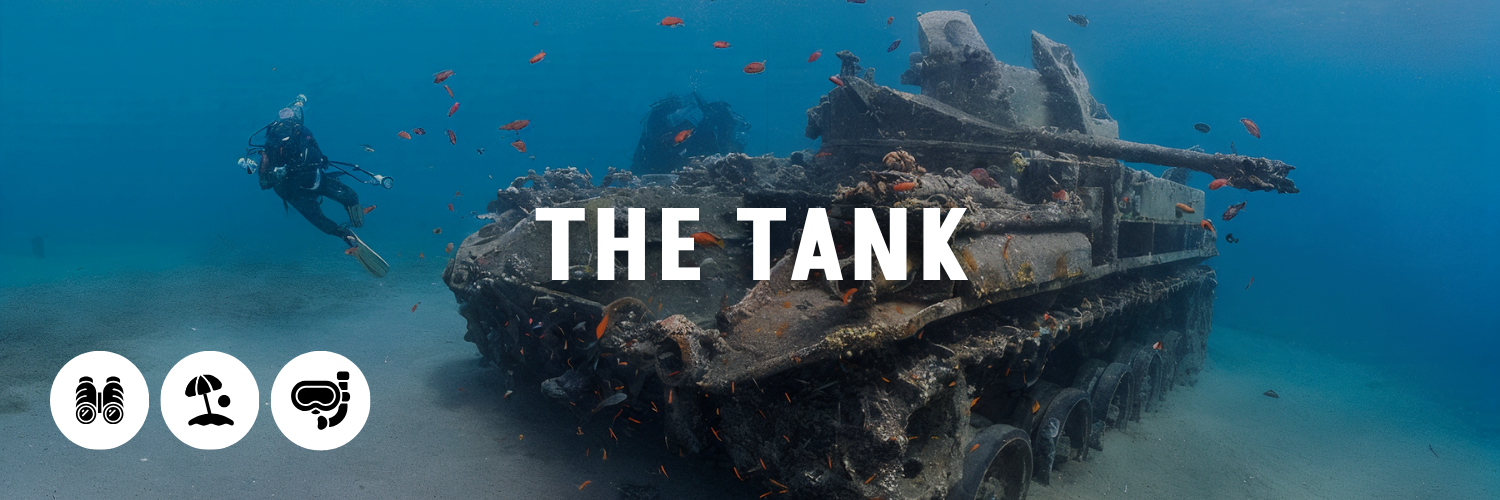 The-Tank-The-Ultimate-Aqaba-Guide
