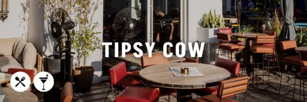 Tipsy-Cow-The-Ultimate-Aqaba-Guide