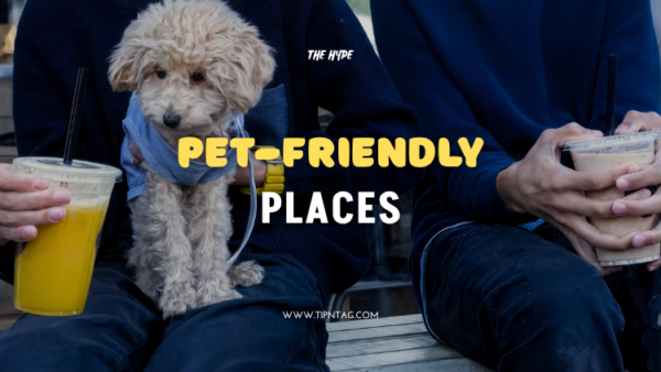 Pet-Friendly-Places-Amman