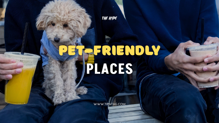 Pet-Friendly-Places-Amman