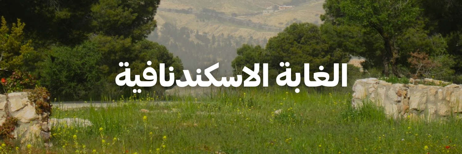 الغابة الاسكندنافية