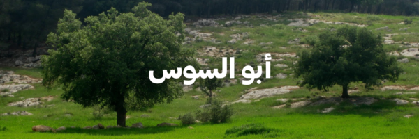 أبو السوس