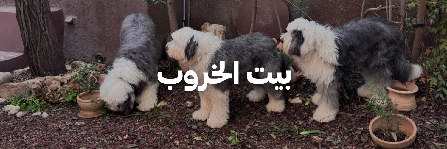 بيت-الخروب-أماكن-بتسمح-بالحيوانات-الأليفة-عمان