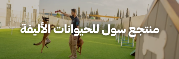 منتجع-سول-للحيوانات-الأليفة-أماكن-بتسمح-بالحيوانات-الأليفة-عمان