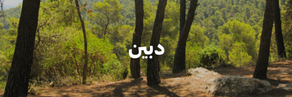 دبين
