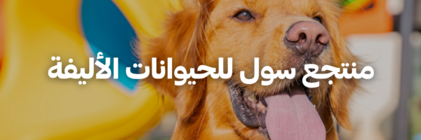 منتجع-سول-للحيوانات-الأليفة-أماكن-بتسمح-بالحيوانات-الأليفة-عمان