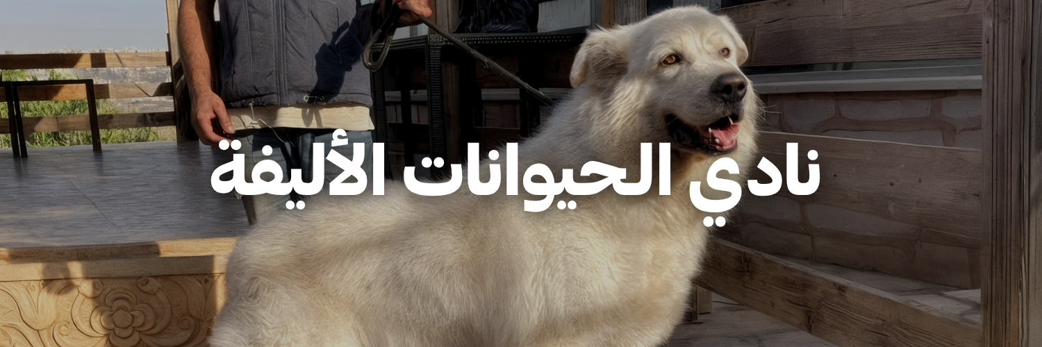 نادي-الـحيوانات-الأليفة-أماكن-بتسمح-بالحيوانات-الأليفة-عمان