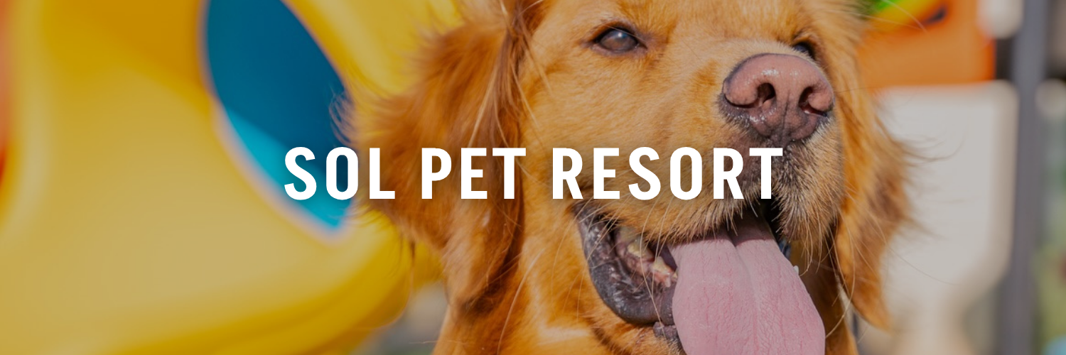 Sol-Pet-Resort-Pet-Friendly-Places-Amman
