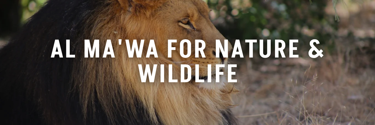 Al-Ma'wa-for-Nature-&-Wildlife-Jordan-Tourism-Guide