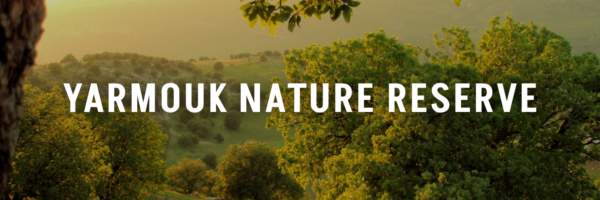 Yarmouk-Nature-Reserve-Jordan-Tourism-Guide