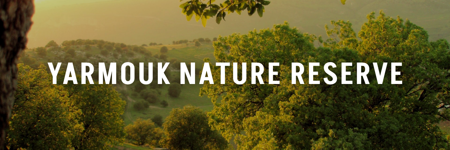 Yarmouk-Nature-Reserve-Jordan-Tourism-Guide