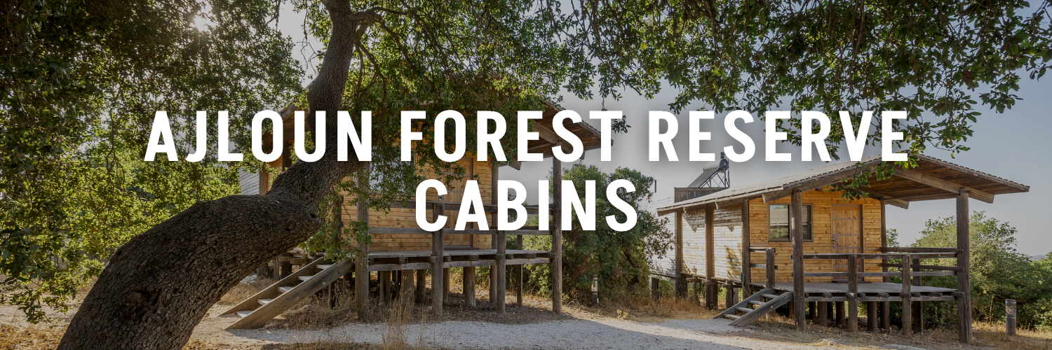 Ajloun-Forest-Reserve-Cabins-Jordan-Tourism-Guide