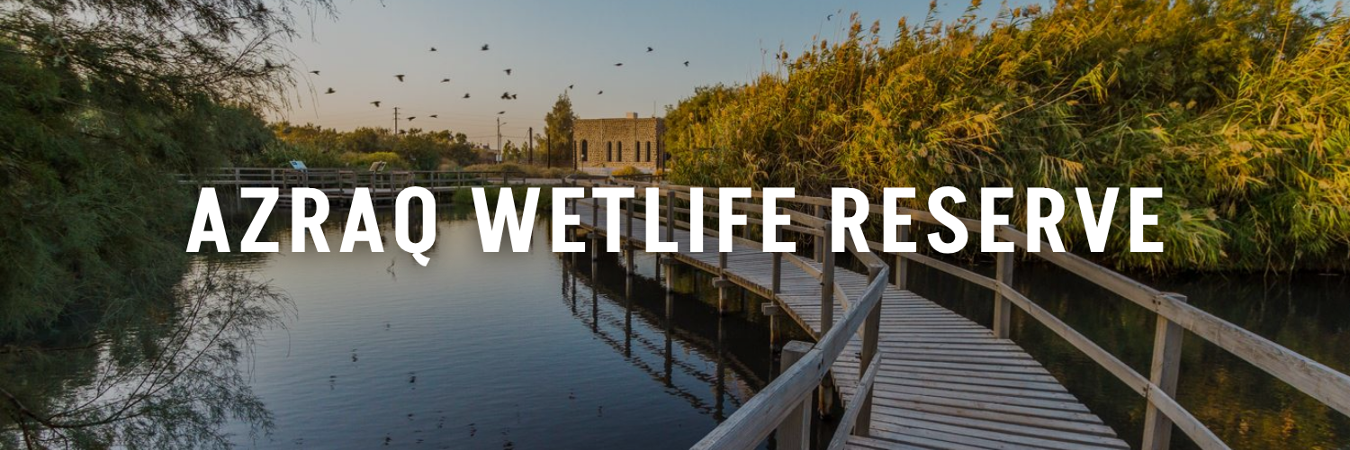 Azraq-Wetlife-Reserve-Jordan-Tourism-Guide