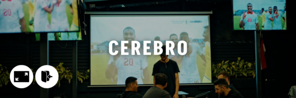 cerebro