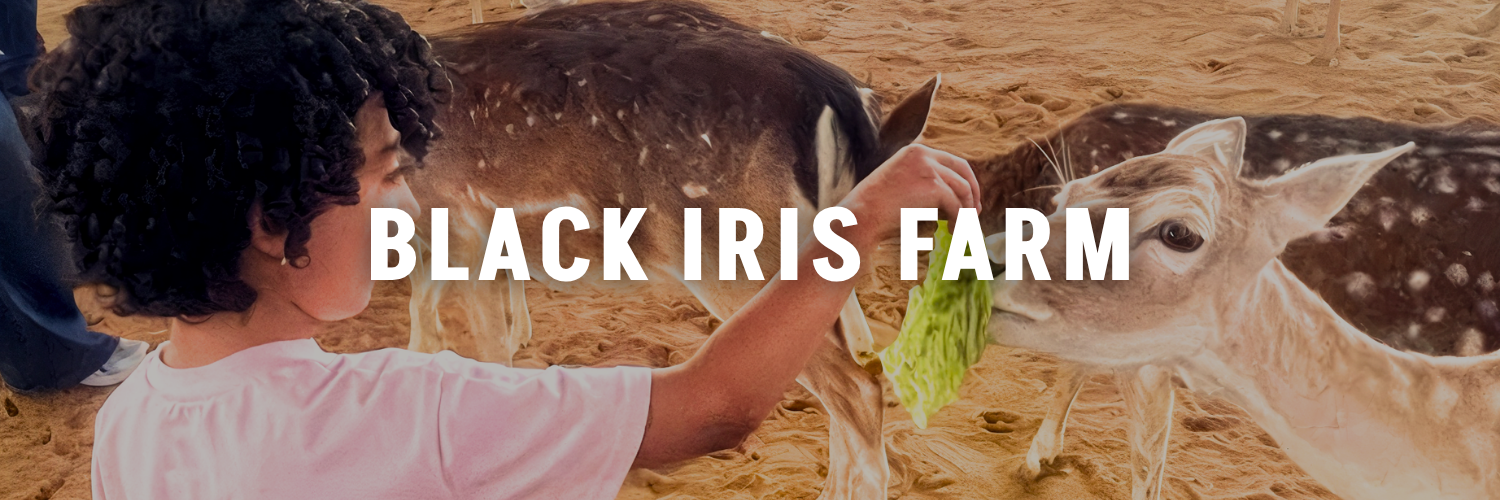 Black Iris Farm