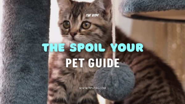 The spoil your pet guide