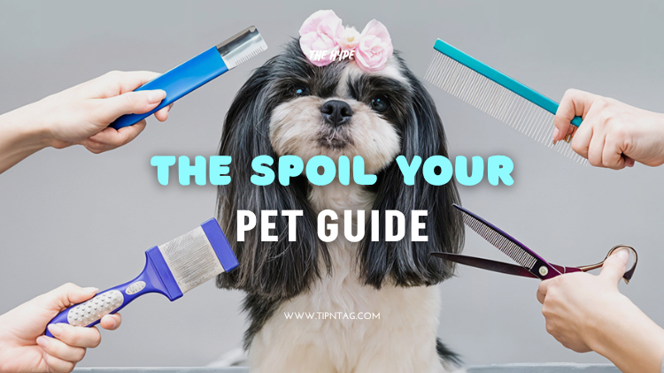 The spoil your pet guide