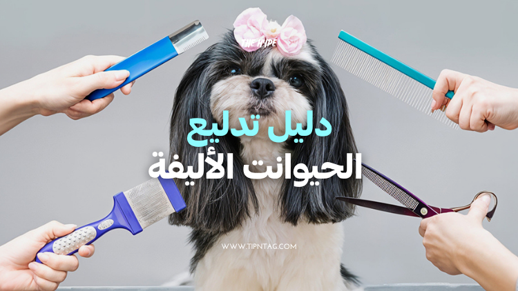 دليل تدليع الحيوانت الأليفة