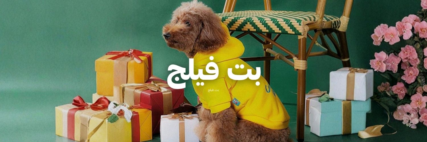 بت فيلج