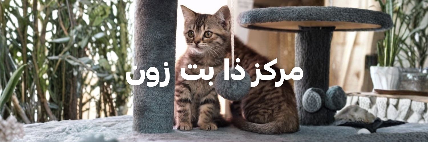 مركز ذا بت زون