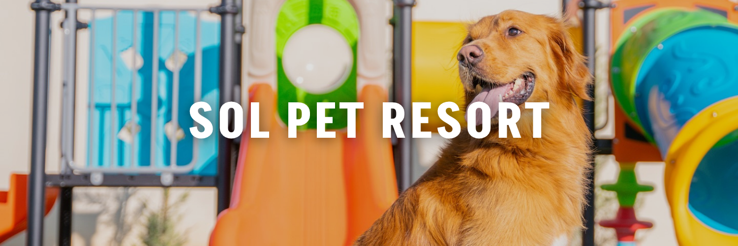 sol pet resort