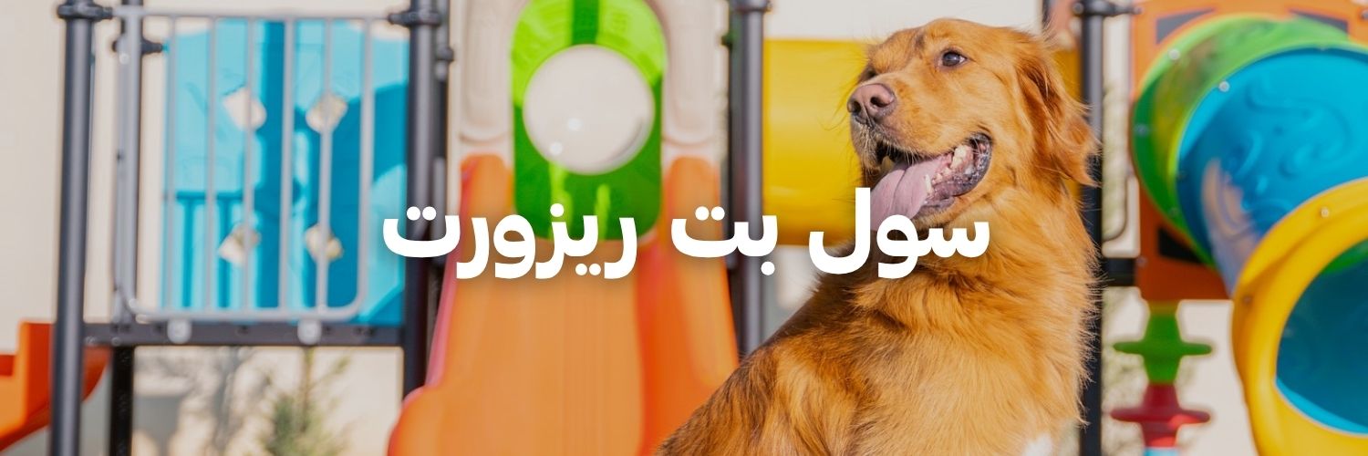 سول بت ريزورت