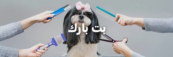 بت بارك