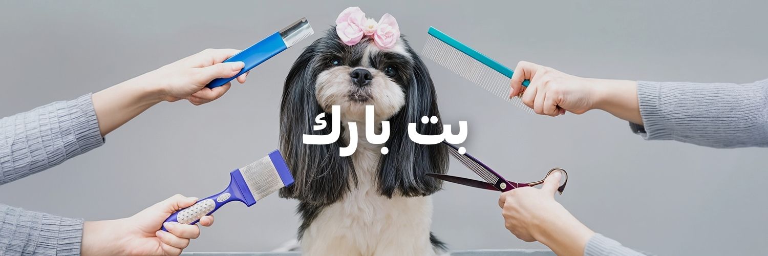 بت بارك