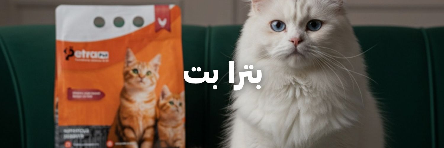 بترا بت