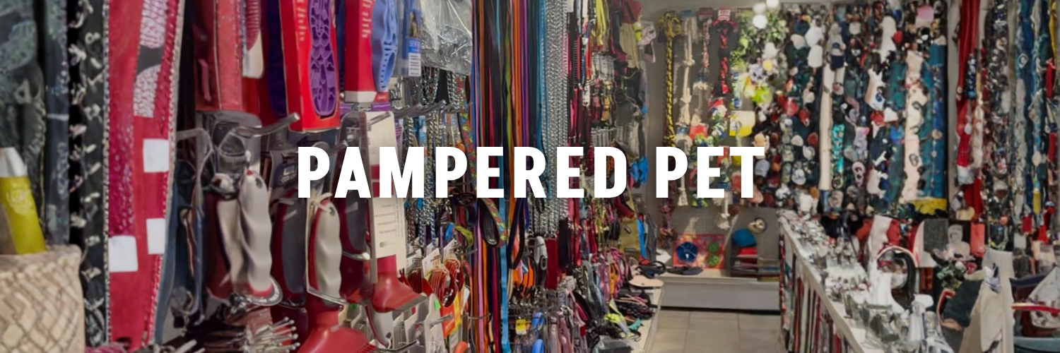 pampered pet