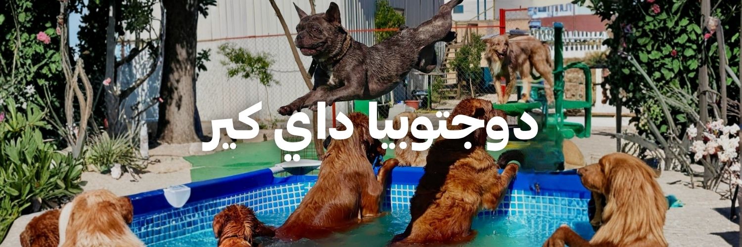 دوجتوبيا داي كير