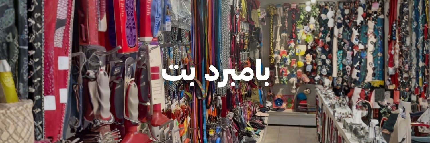 بامبرد بت