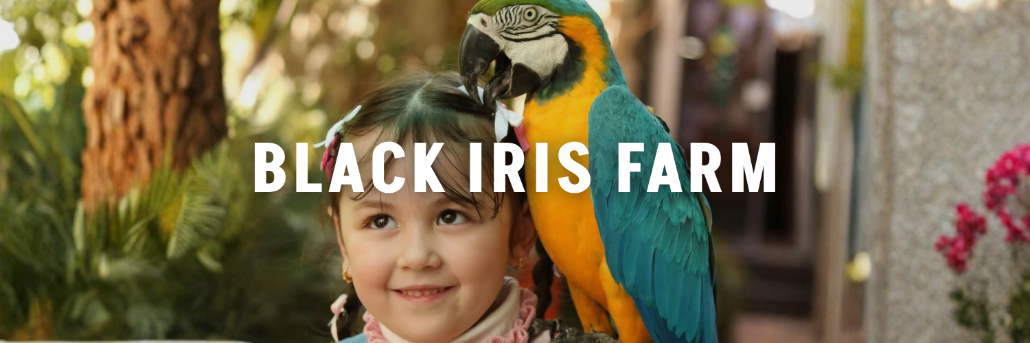 black iris farm