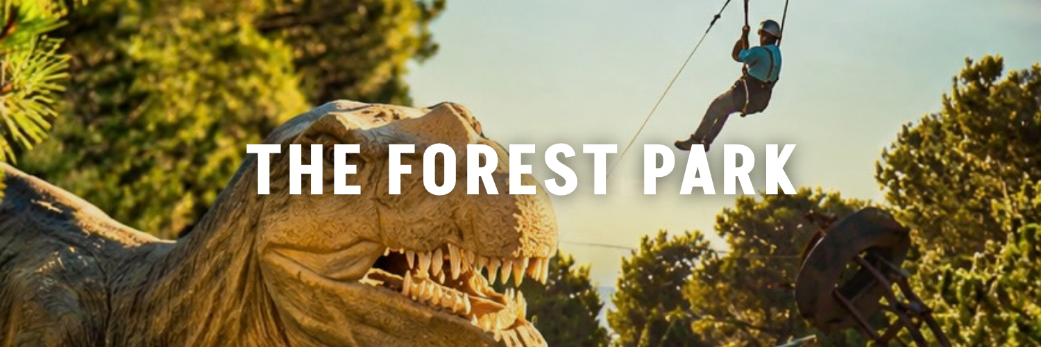 the forest park